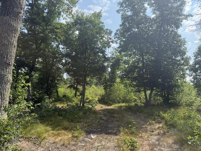 8th image of 7760 S Merrillville Rd, Baldwin, MI 49304 | MLS# 70548020