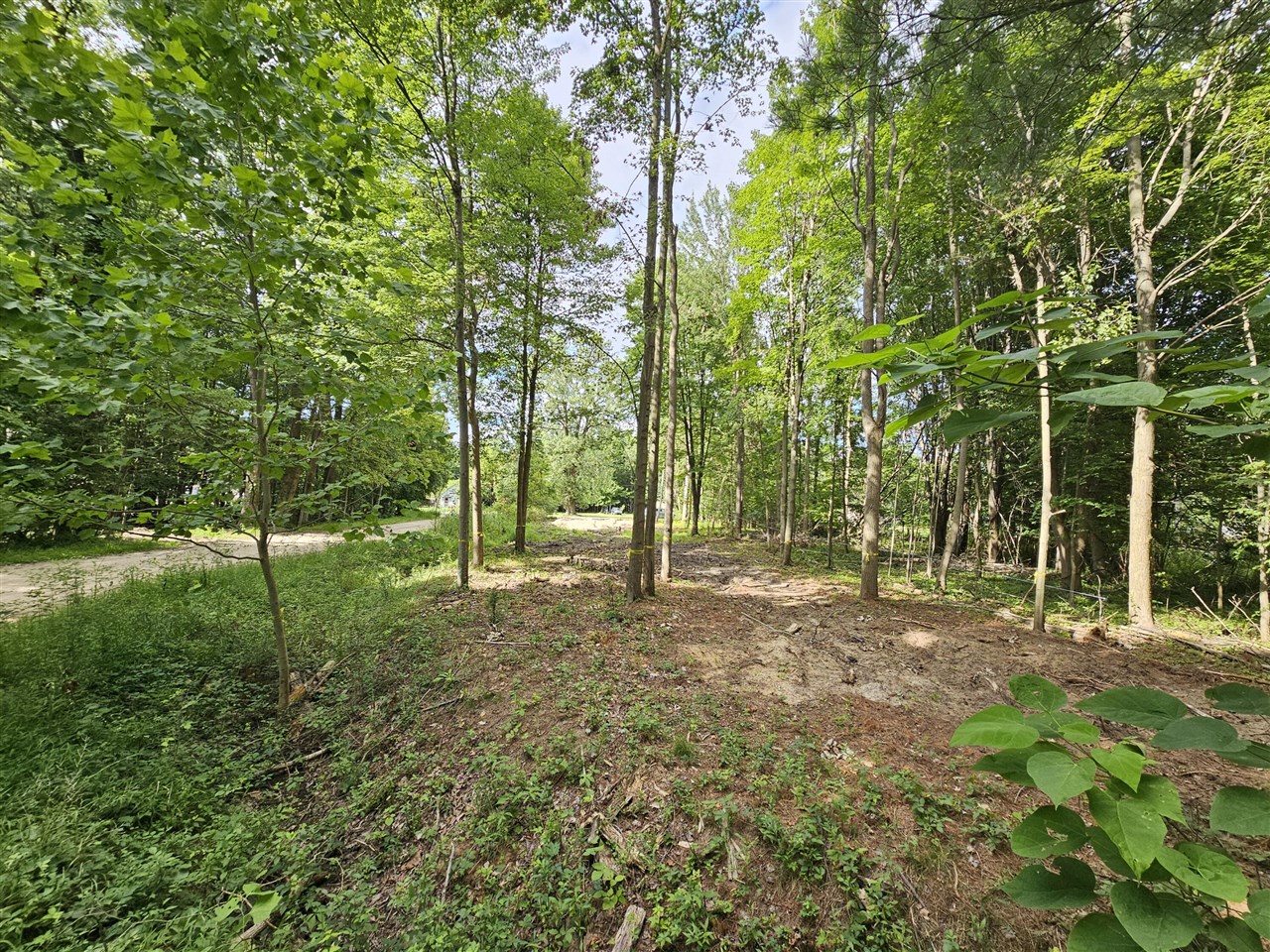 Photo 3 of Land for sale at Miami Ave, Grand Junction, MI 49056 | MLS# 70548098 | Listing updated on 2026-09-28