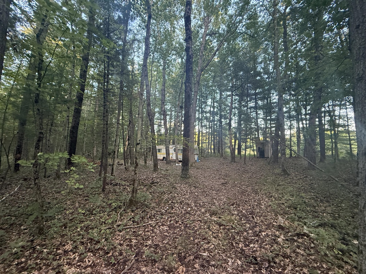 1st image of 5860 Honeybear Ave, Baldwin, MI 49304 | MLS# 70548107