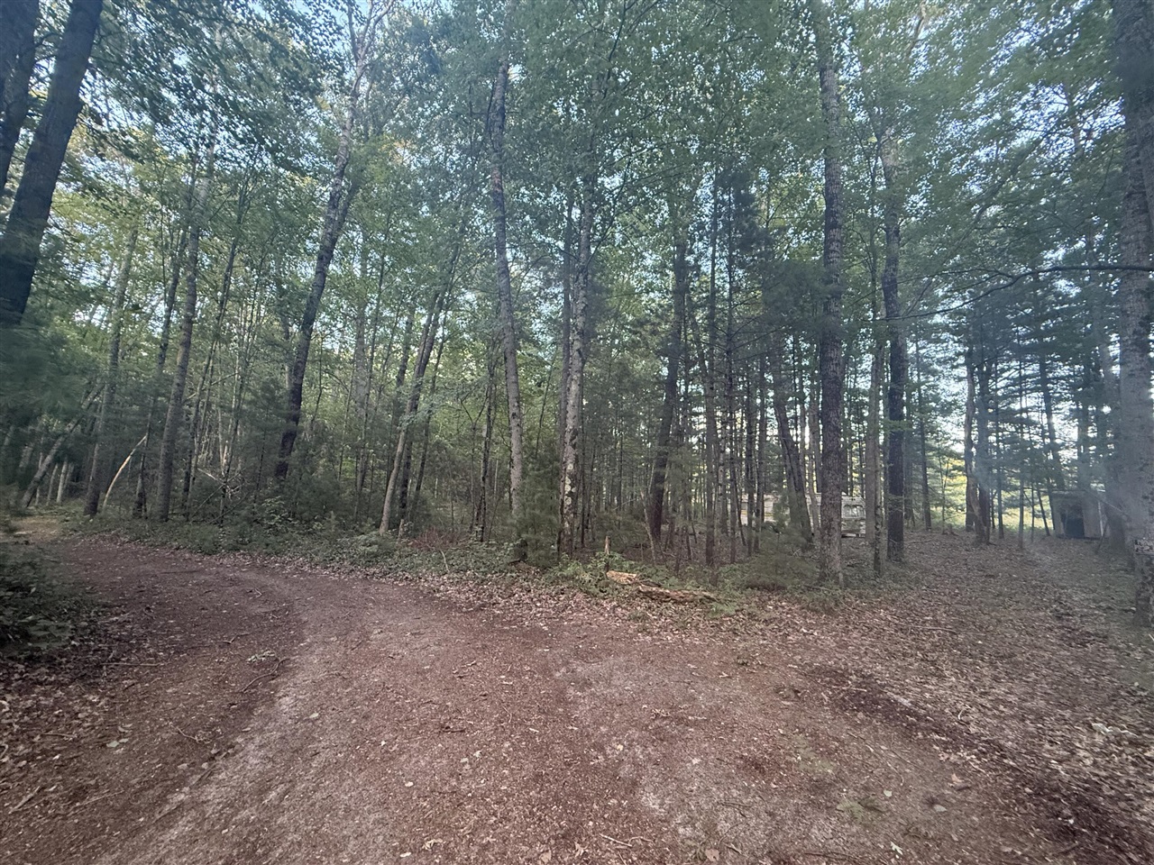 2nd image of 5860 Honeybear Ave, Baldwin, MI 49304 | MLS# 70548107