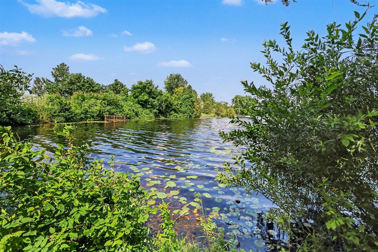 2nd image of E Shore Dr, Stanton, MI 48888 | MLS# 70548146
