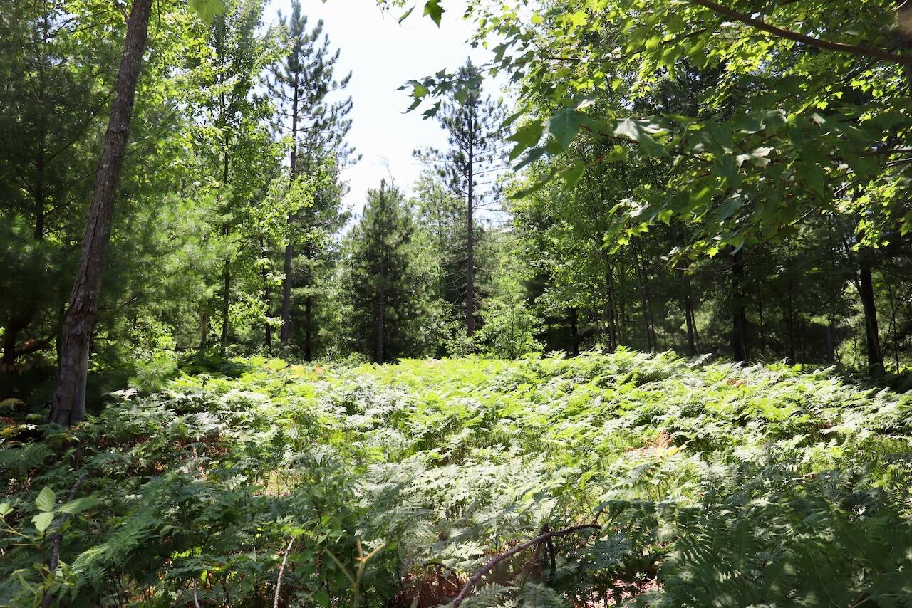 5th image of 455 Ac E Greenwood Rd, Prescott, MI 48756 | MLS# 70548310