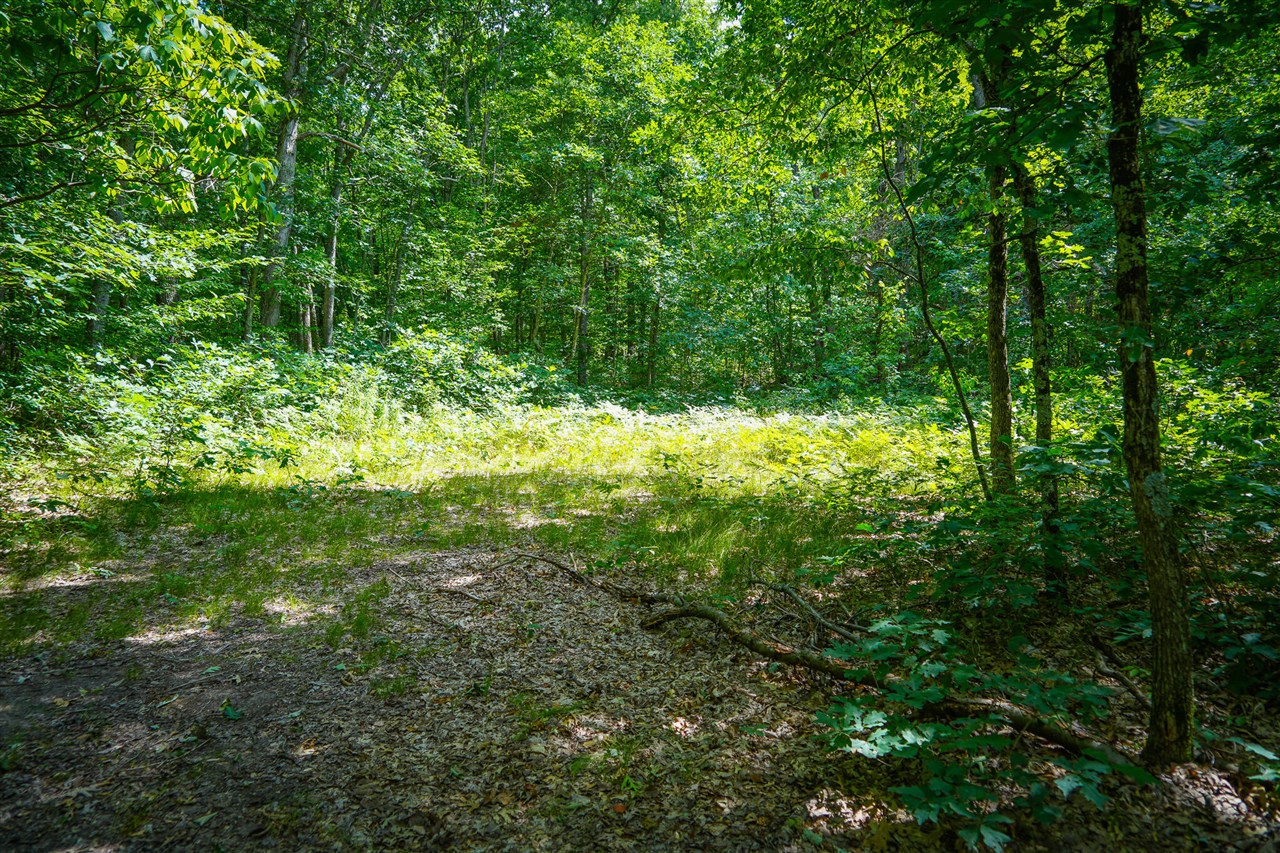 5th image of V/L S 184Th Ave, Holton, MI 49425 | MLS# 70548311