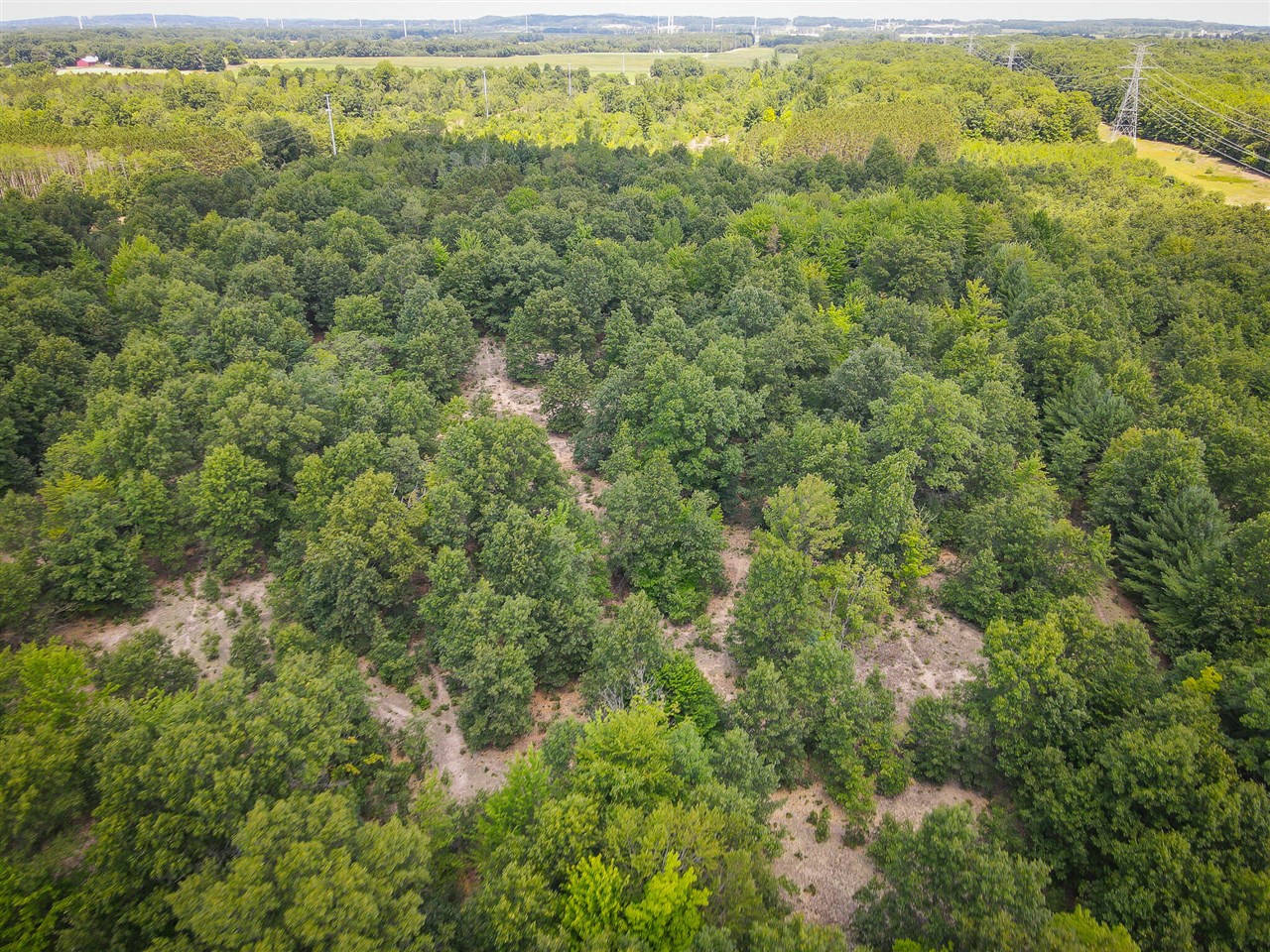 27th image of V/l W Adams Rd, Pentwater, MI 49449 | MLS# 70548312