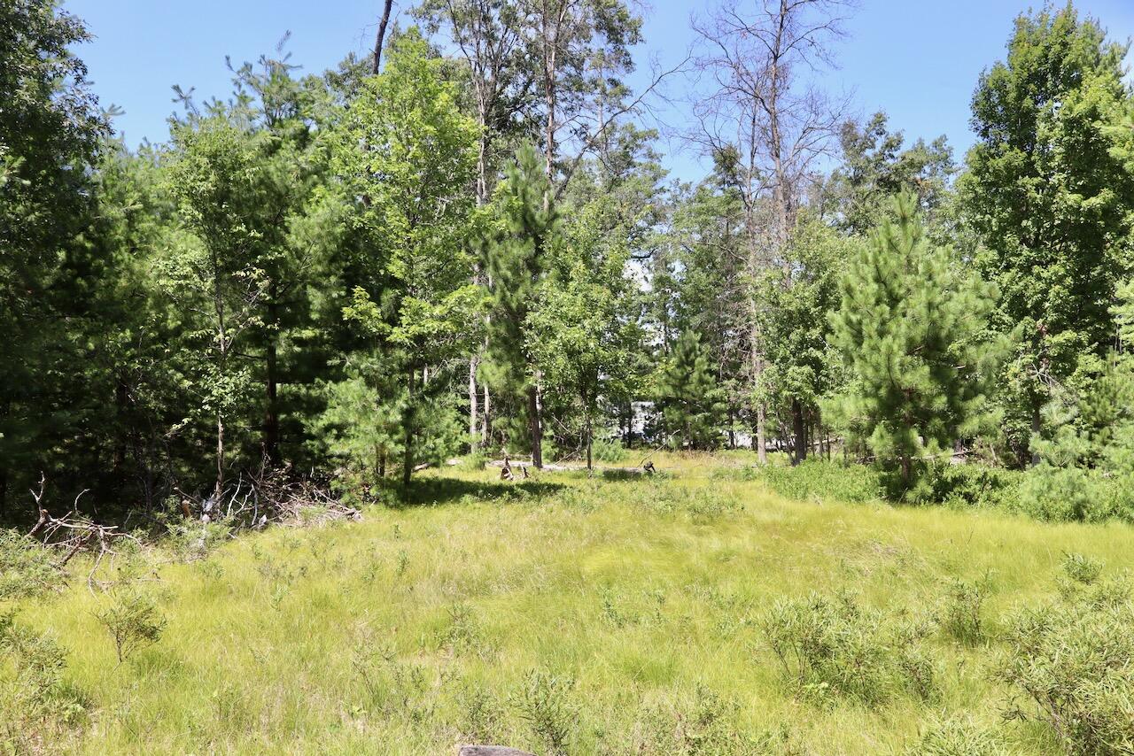 4th image of 346 Ac E Greenwood Rd, Prescott, MI 48756 | MLS# 70548365