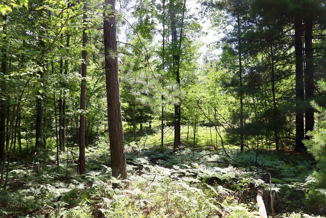 5th image of 346 Ac E Greenwood Rd, Prescott, MI 48756 | MLS# 70548365