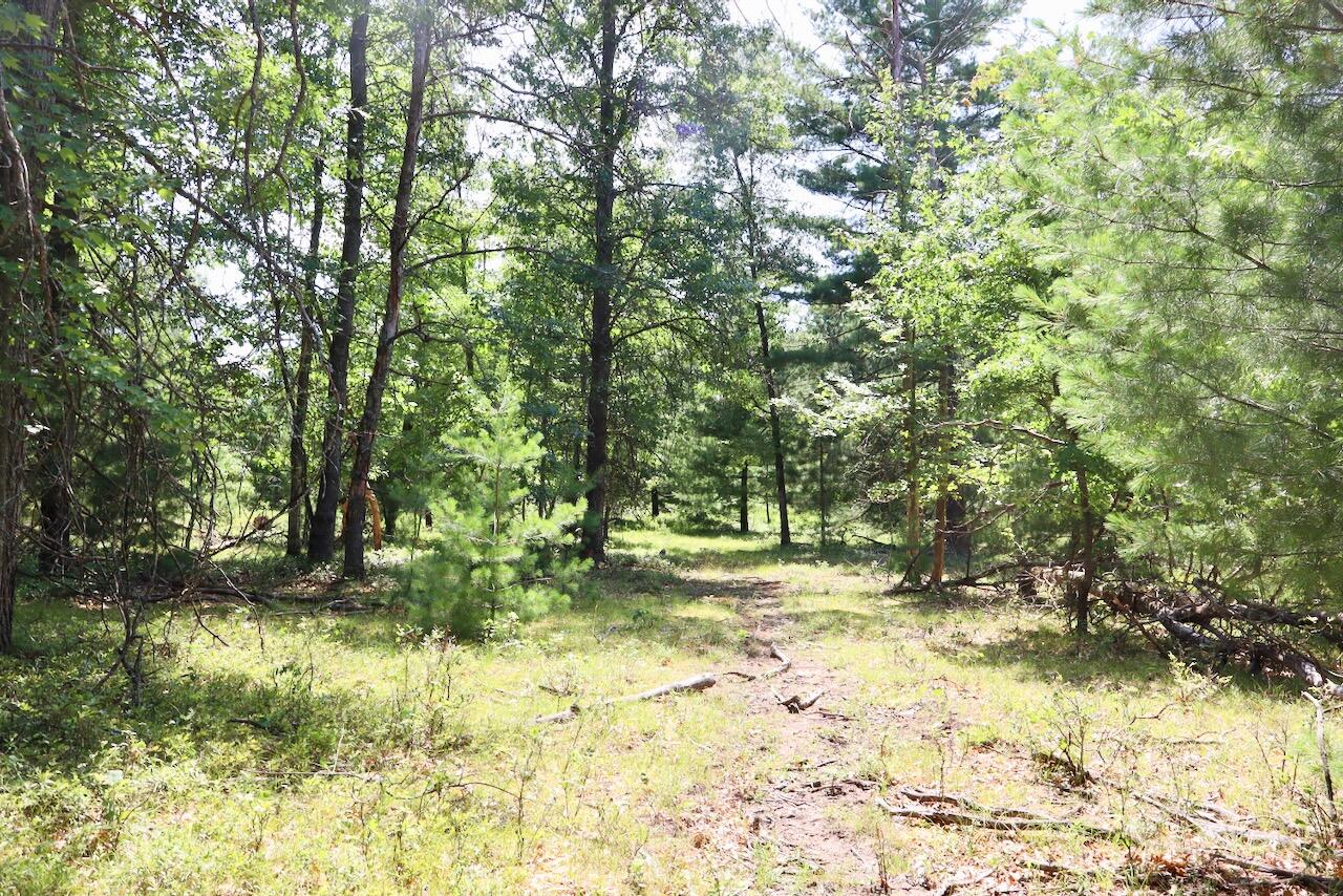 5th image of 400 Ac E Greenwood Rd, Prescott, MI 48756 | MLS# 70548373