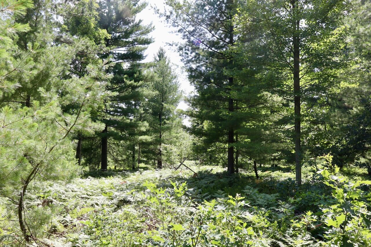 2nd image of 395 Ac E Greenwood Rd, Prescott, MI 48756 | MLS# 70548414