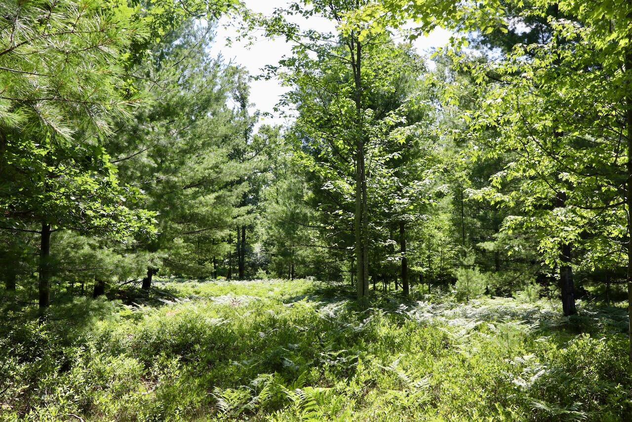 3rd image of 395 Ac E Greenwood Rd, Prescott, MI 48756 | MLS# 70548414