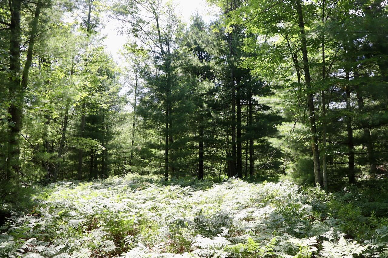 4th image of 395 Ac E Greenwood Rd, Prescott, MI 48756 | MLS# 70548414