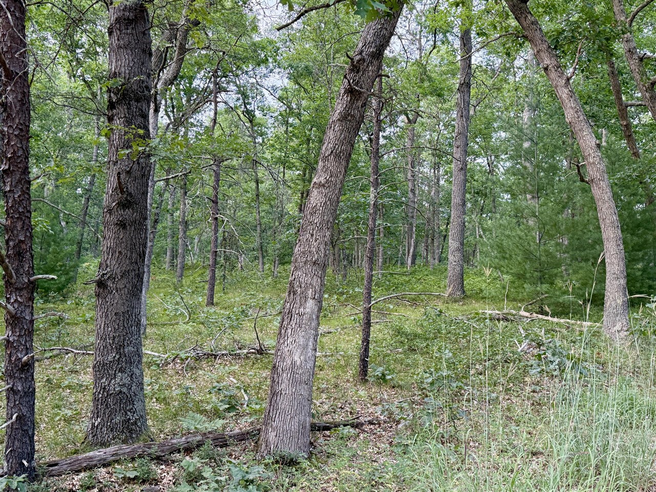 Land for sale at 2a Steinberg Rd, Manistee, MI 49660 | MLS# 70548423