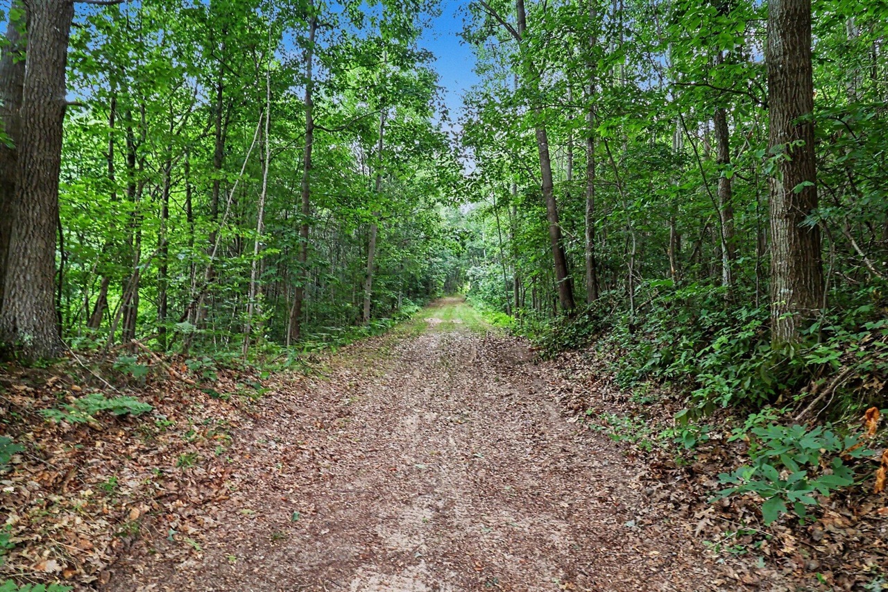 1st image of V/l N Larson Rd, Fountain, MI 49410 | MLS# 70548532