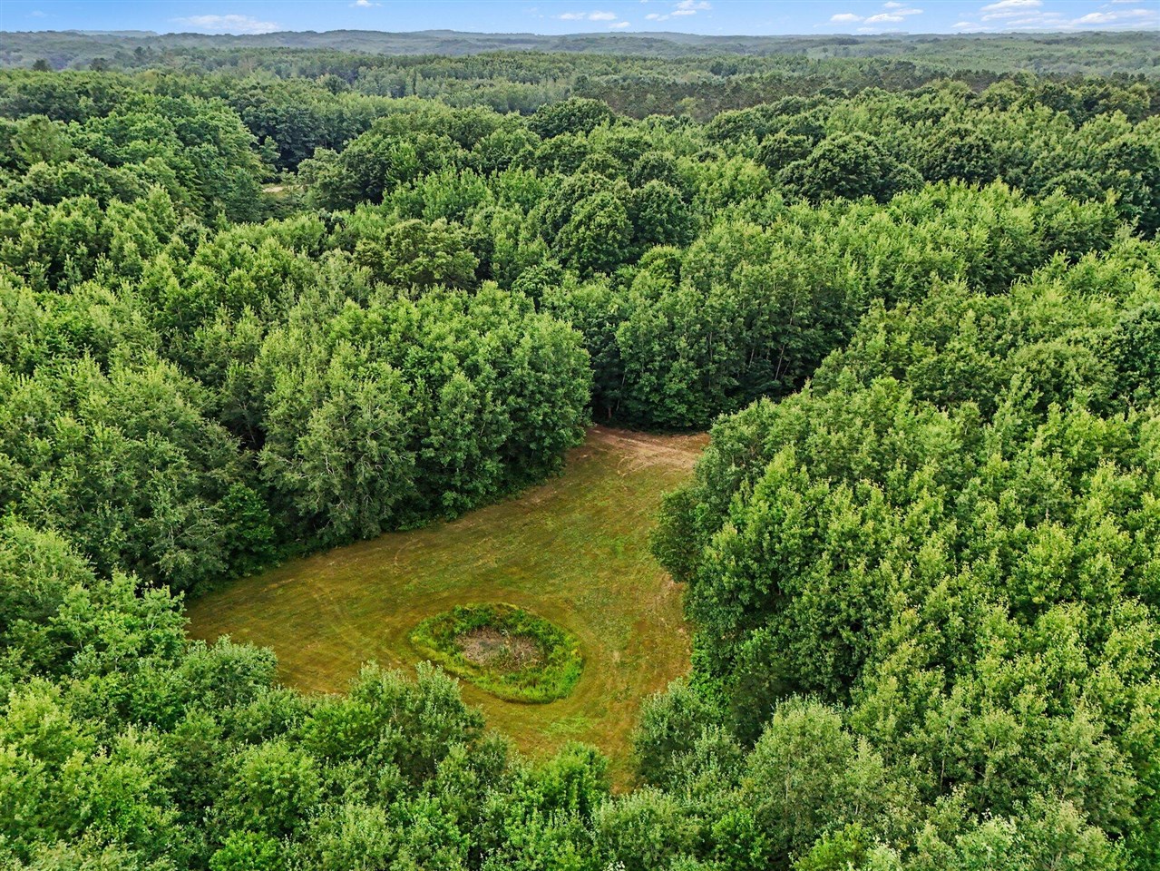 2nd image of V/l N Larson Rd, Fountain, MI 49410 | MLS# 70548532