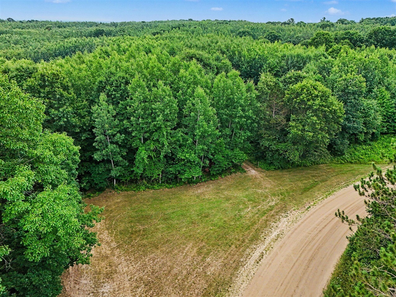 3rd image of V/L N Larson Rd, Fountain, MI 49410 | MLS# 70548532