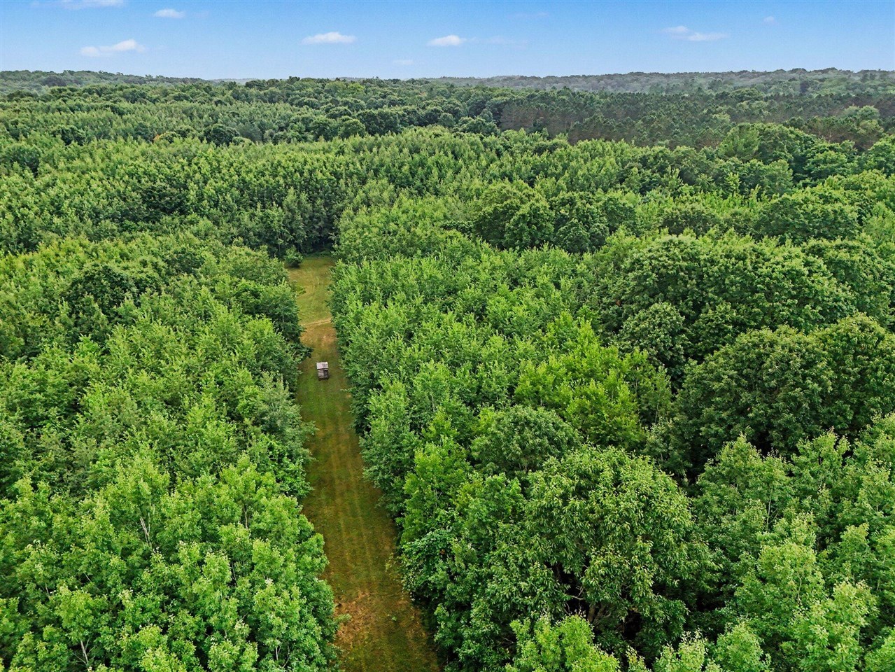 4th image of V/L N Larson Rd, Fountain, MI 49410 | MLS# 70548532