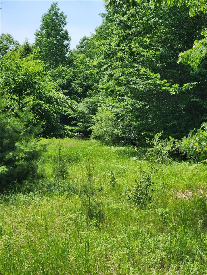 1st image of 00 E Starlight Rdg Cir, Onekama, MI 49675 | MLS# 70548560
