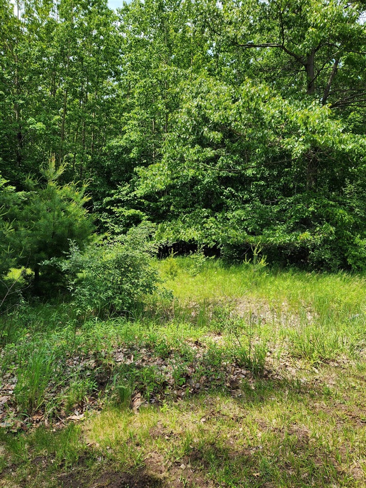 3rd image of 00 E Starlight Rdg Cir, Onekama, MI 49675 | MLS# 70548560