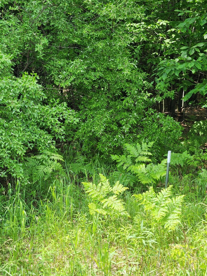 4th image of 00 E Starlight Rdg Cir, Onekama, MI 49675 | MLS# 70548560