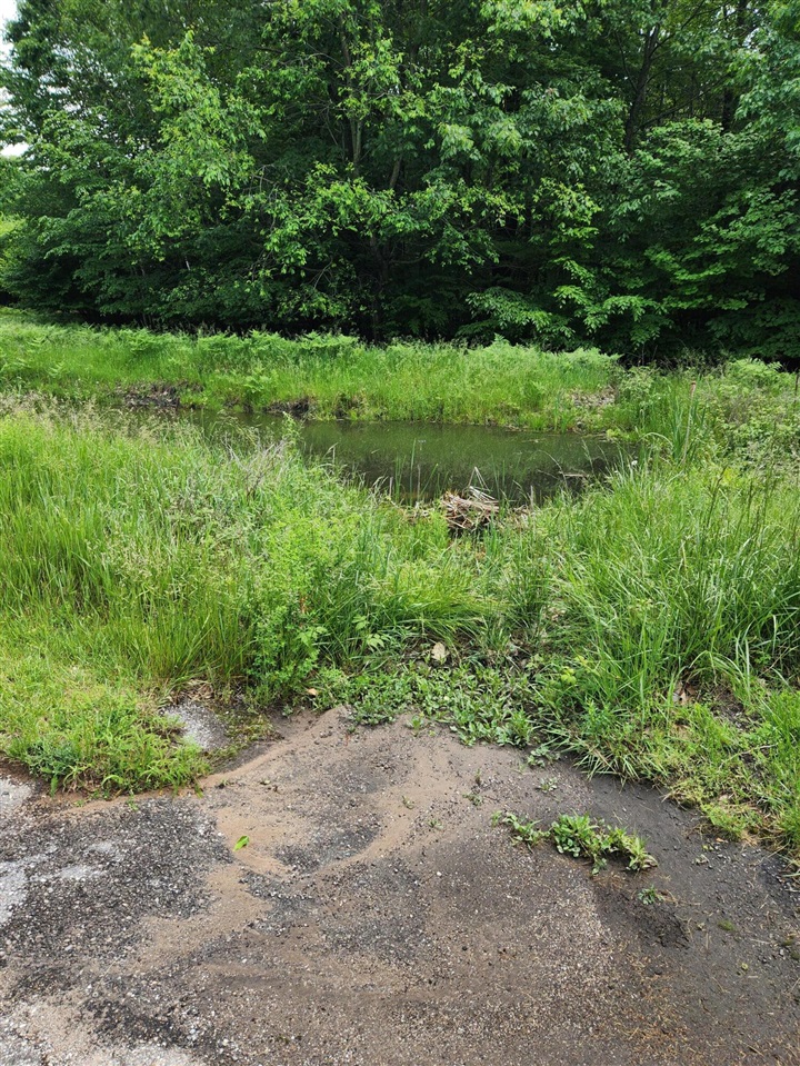 6th image of 00 E Starlight Rdg Cir, Onekama, MI 49675 | MLS# 70548560
