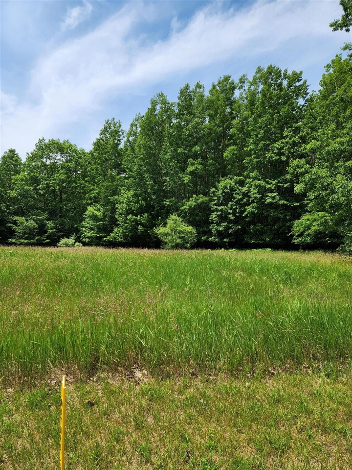 1st image of 00 Opal Ridge Dr, Onekama, MI 49675 | MLS# 70548577