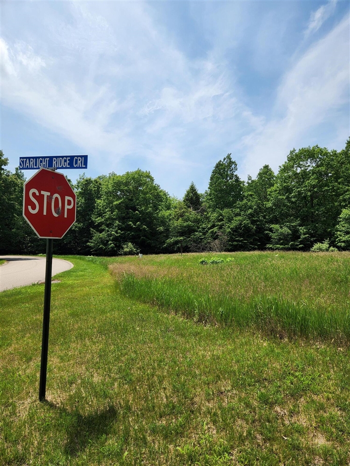 2nd image of 00 Opal Ridge Dr, Onekama, MI 49675 | MLS# 70548577