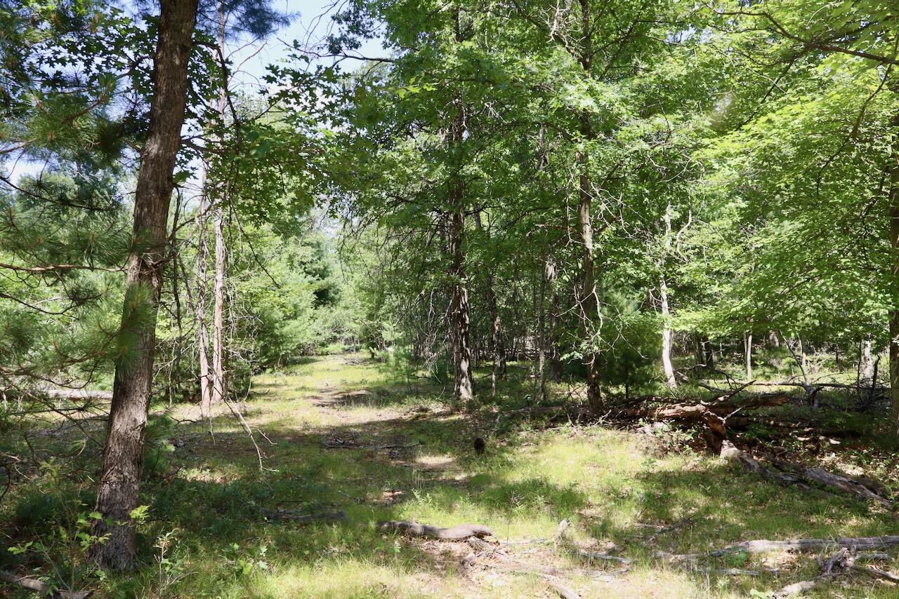 2nd image of 02 Down To Earth Way, Prescott, MI 48756 | MLS# 70548578
