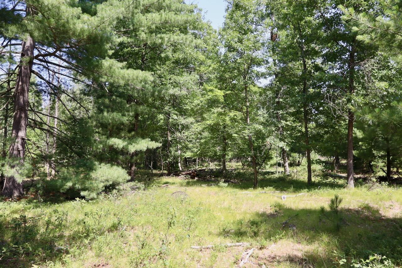 4th image of 02 Down To Earth Way, Prescott, MI 48756 | MLS# 70548578
