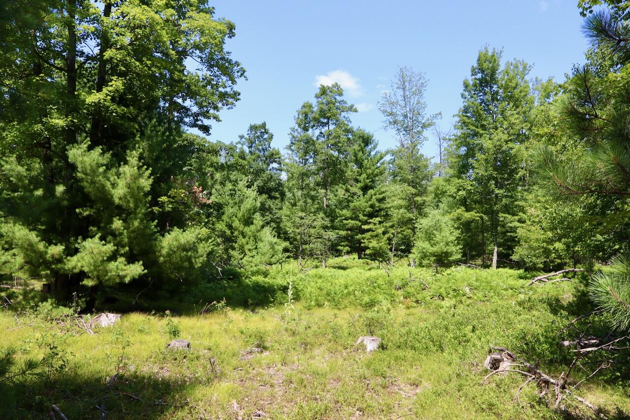 5th image of 02 Down To Earth Way, Prescott, MI 48756 | MLS# 70548578