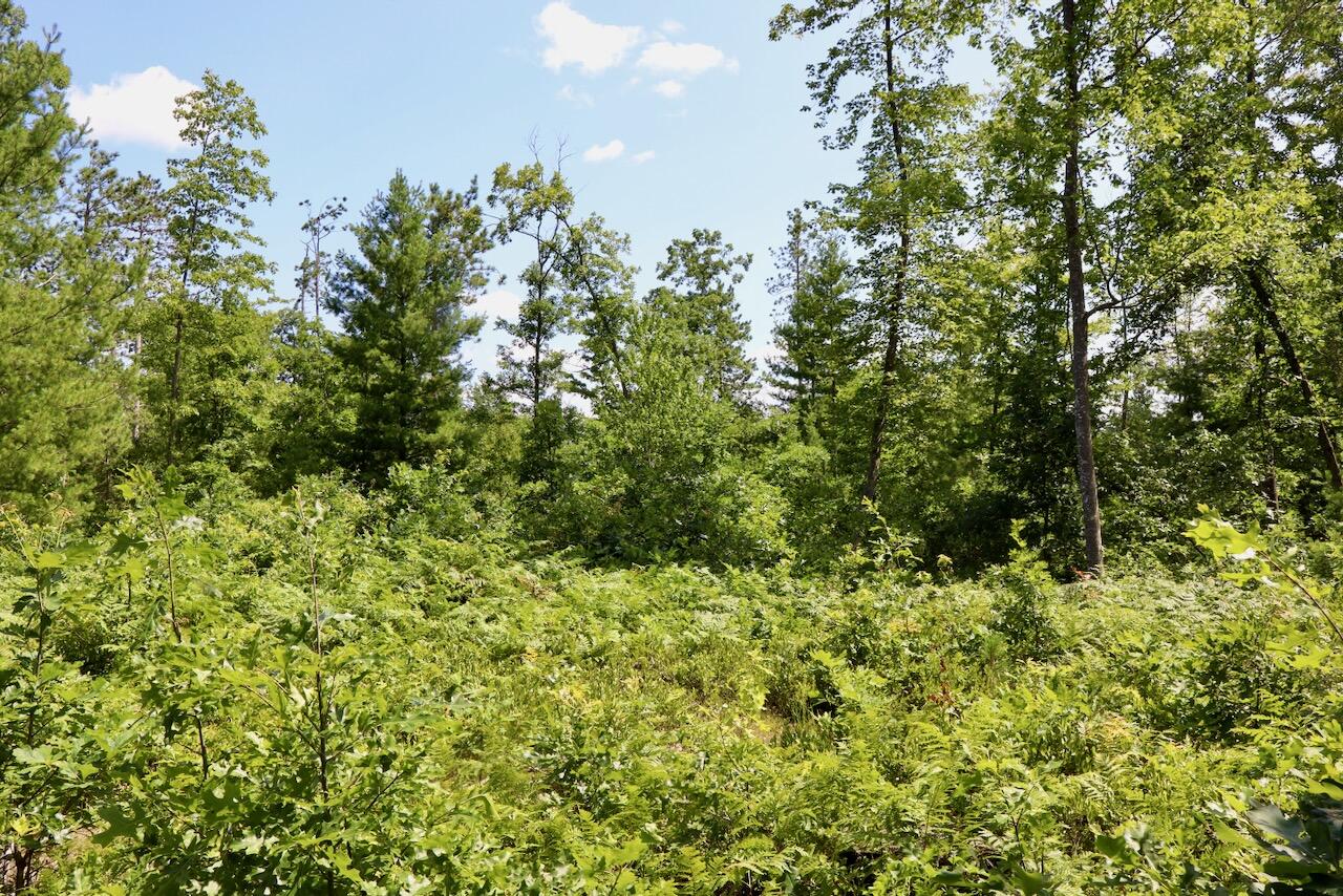 5th image of 04 Down To Earth Way Rd, Prescott, MI 48756 | MLS# 70548599