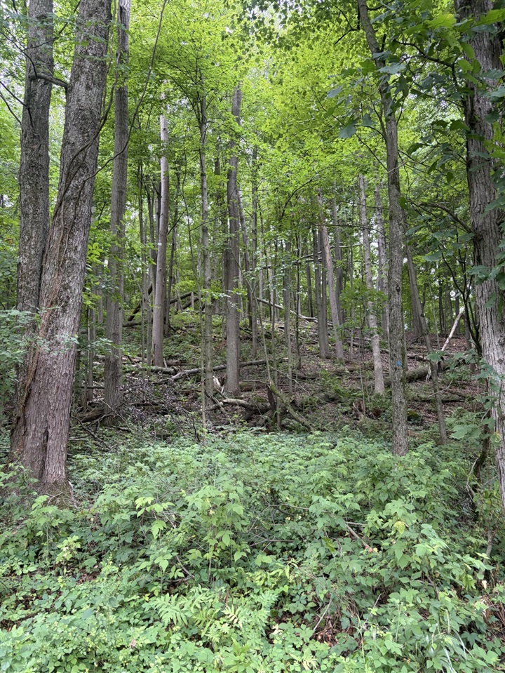 1st image of Lot B E Riverside Dr, Lowell, MI 49331 | MLS# 70548692