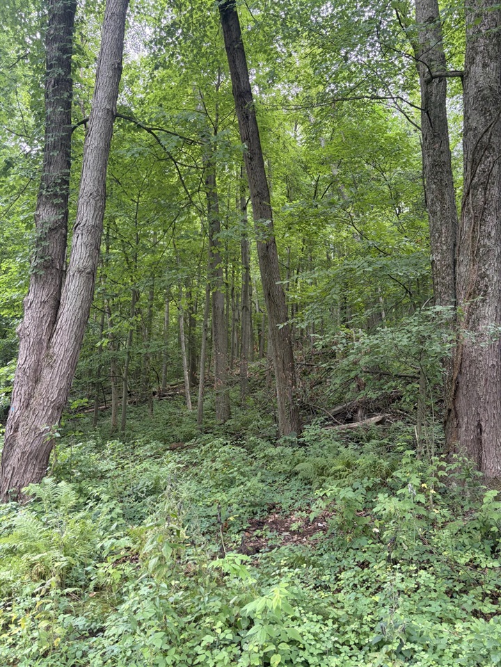 3rd image of Lot B E Riverside Dr, Lowell, MI 49331 | MLS# 70548692