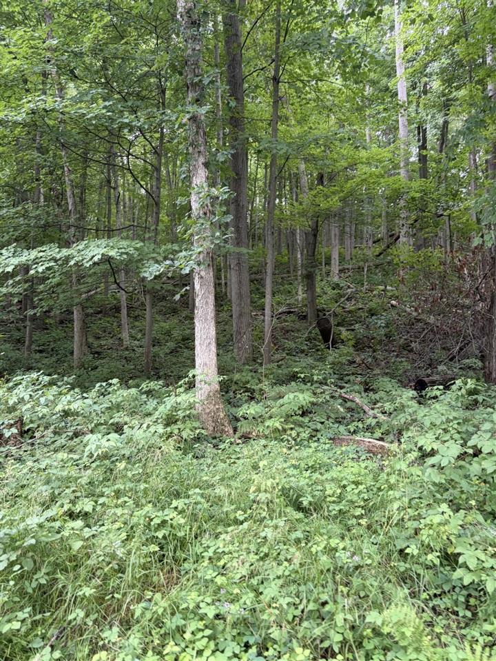 4th image of Lot B E Riverside Dr, Lowell, MI 49331 | MLS# 70548692