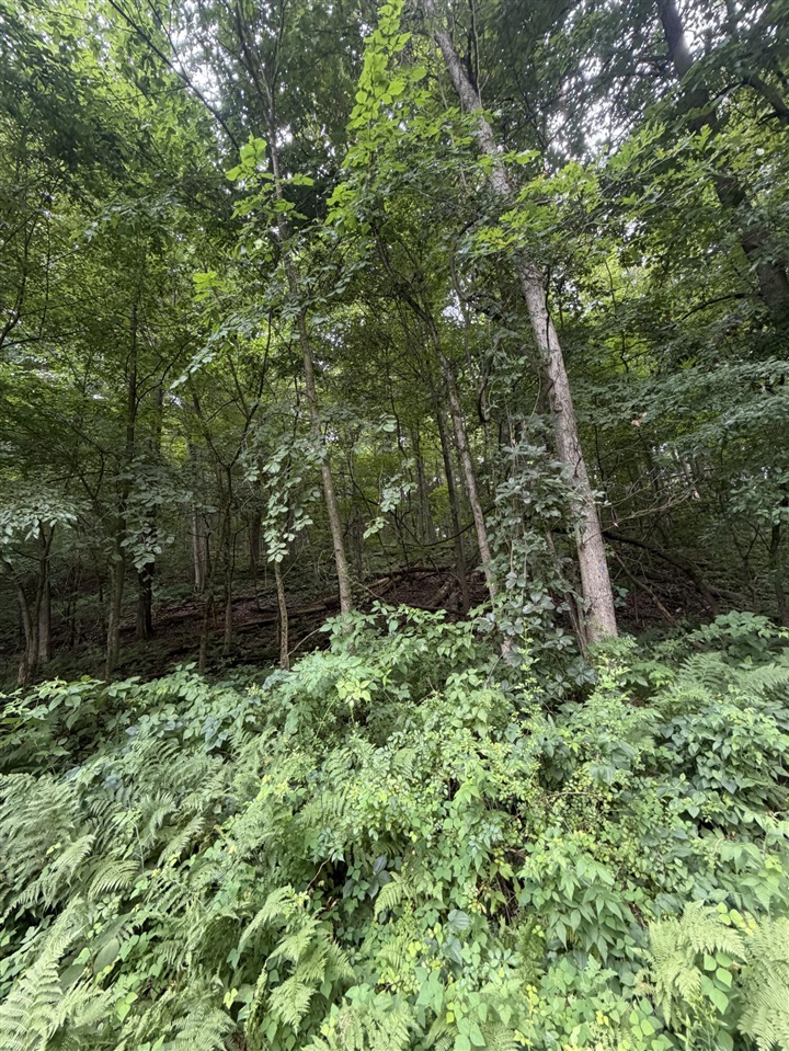 5th image of Lot B E Riverside Dr, Lowell, MI 49331 | MLS# 70548692