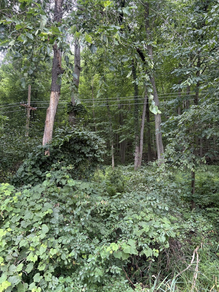 7th image of Lot B E Riverside Dr, Lowell, MI 49331 | MLS# 70548692