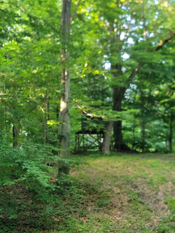 Photo 4 of Land for sale at 8575 Anchor Dr, Delton, MI 49046 | MLS# 70548754 | Listing updated on 2026-09-16