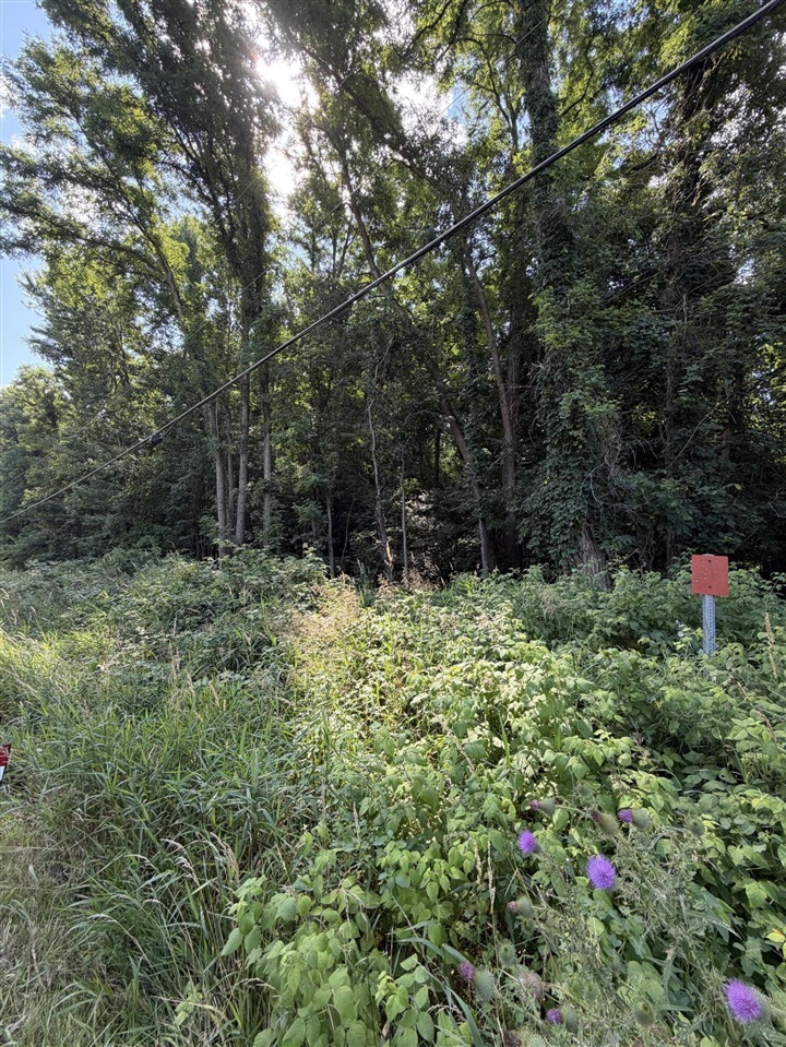 4th image of 44107 M-140, Covert, MI 49043 | MLS# 70548819