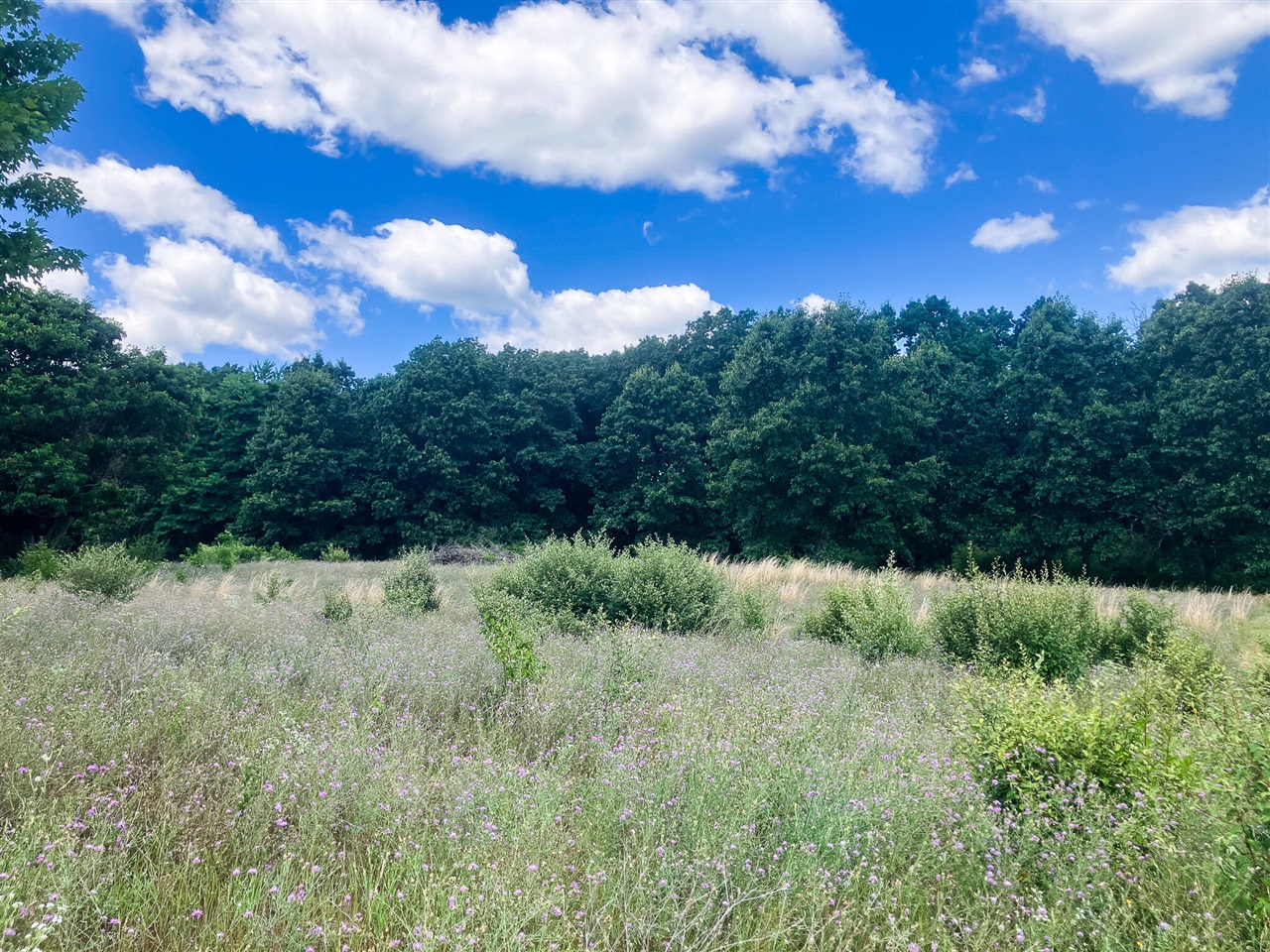 1st image of Parcel 9 Leaf Lane, Freeport, MI 49325 | MLS# 70548906