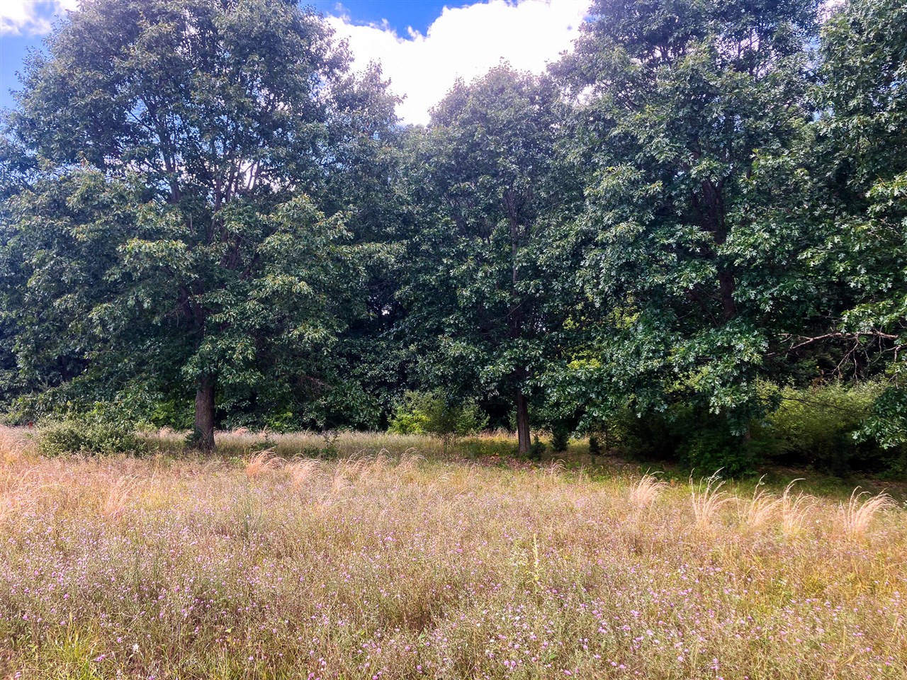 2nd image of Parcel 9 Leaf Lane, Freeport, MI 49325 | MLS# 70548906