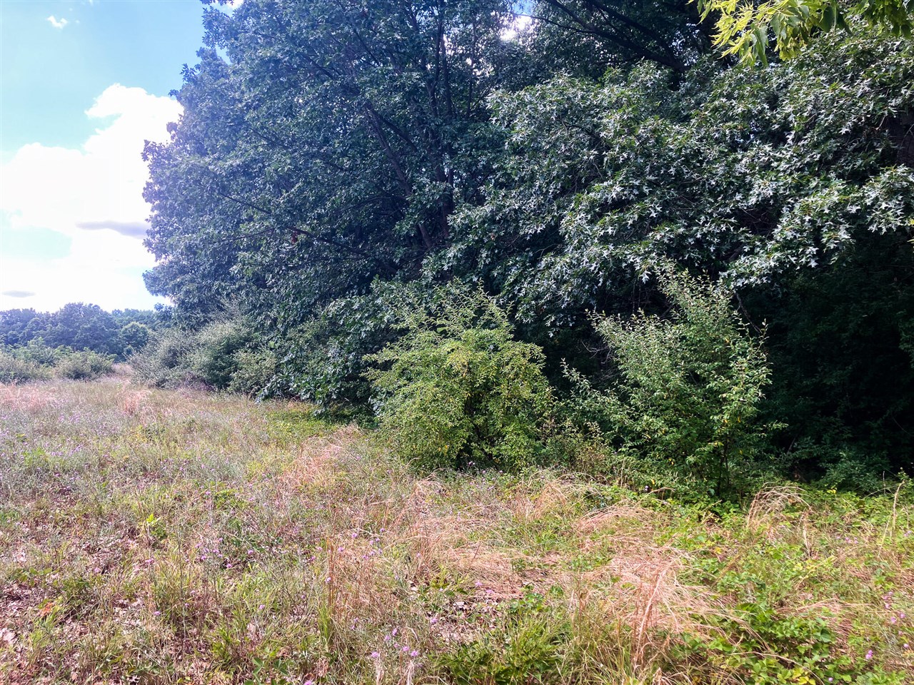 3rd image of Parcel 9 Leaf Lane, Freeport, MI 49325 | MLS# 70548906