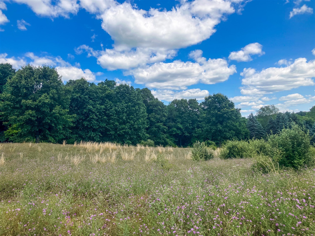4th image of Parcel 9 Leaf Lane, Freeport, MI 49325 | MLS# 70548906