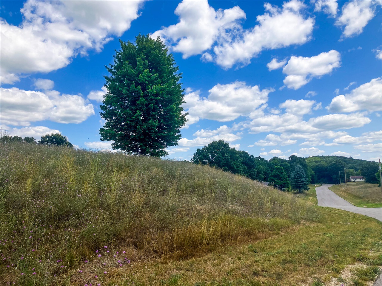 5th image of Parcel 9 Leaf Lane, Freeport, MI 49325 | MLS# 70548906