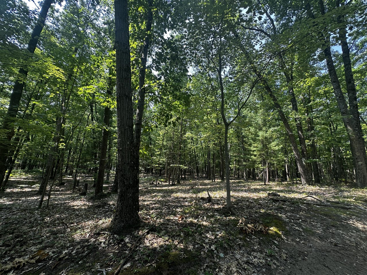 1st image of 00 Vl Deer Trail, Irons, MI 49644 | MLS# 70549020