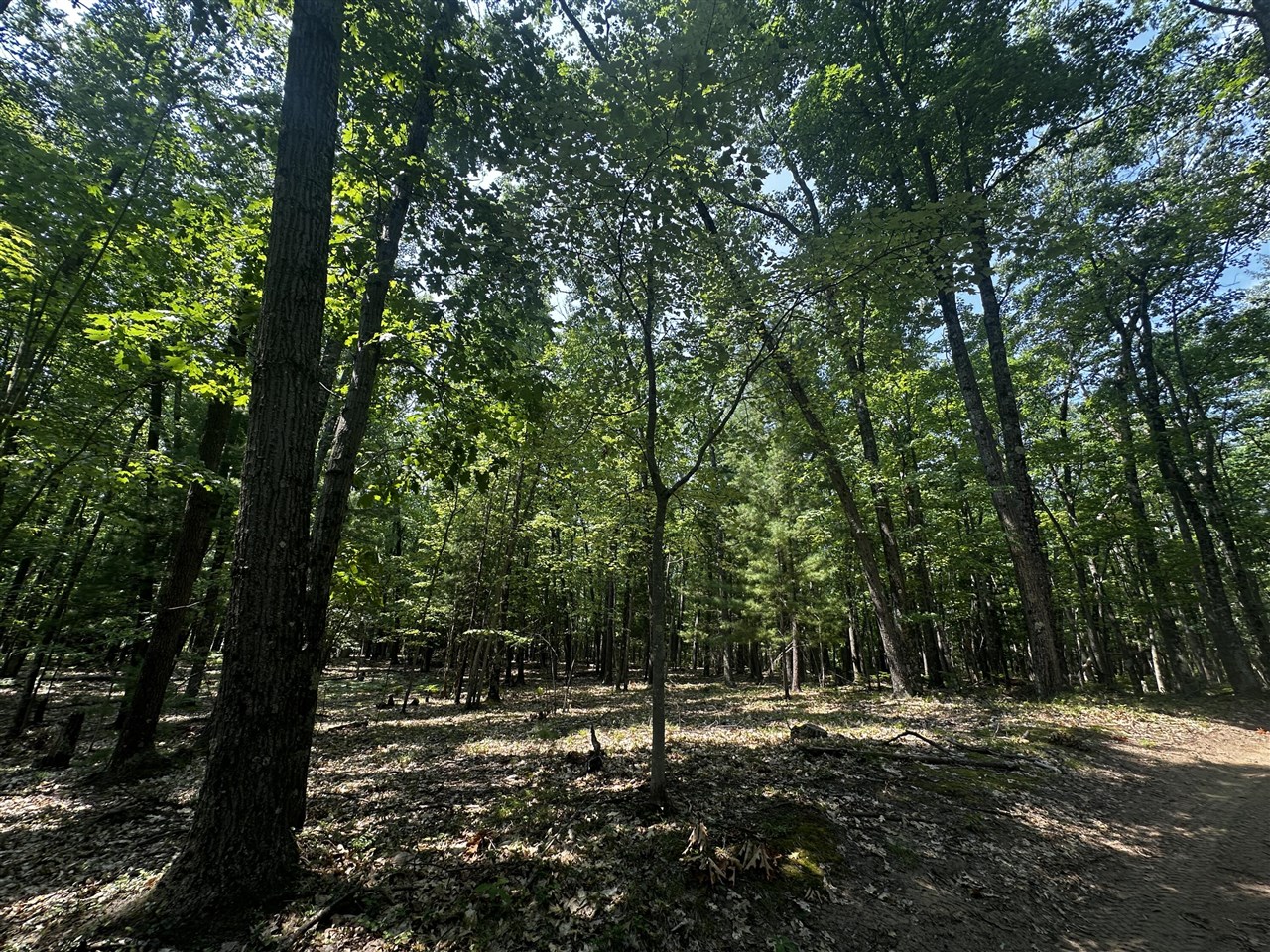2nd image of 00 Vl Deer Trail, Irons, MI 49644 | MLS# 70549020
