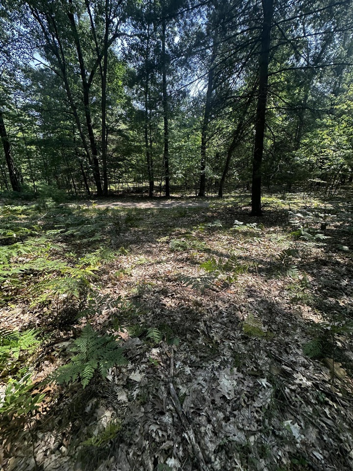 11th image of 00 Vl Deer Trail, Irons, MI 49644 | MLS# 70549020