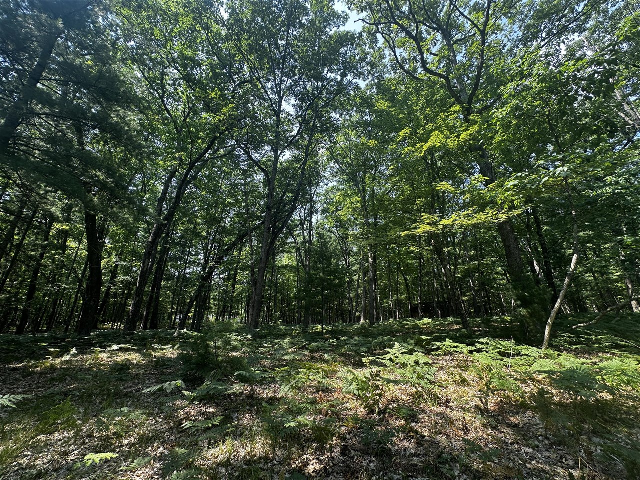 3rd image of 00 Vl Deer Trail, Irons, MI 49644 | MLS# 70549020
