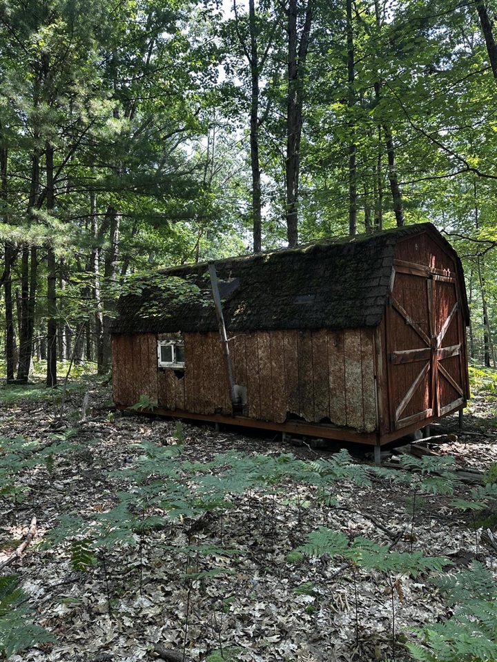 5th image of 00 Vl Deer Trail, Irons, MI 49644 | MLS# 70549020
