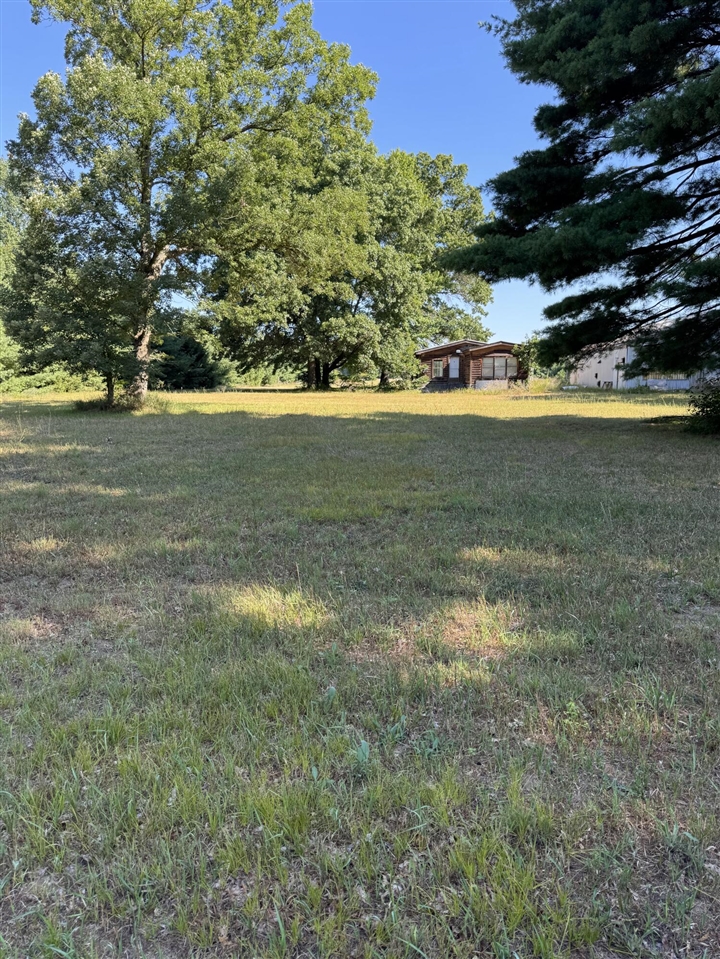 31st image of 9381 Jones Rd, Howard City, MI 49329 | MLS# 70549073
