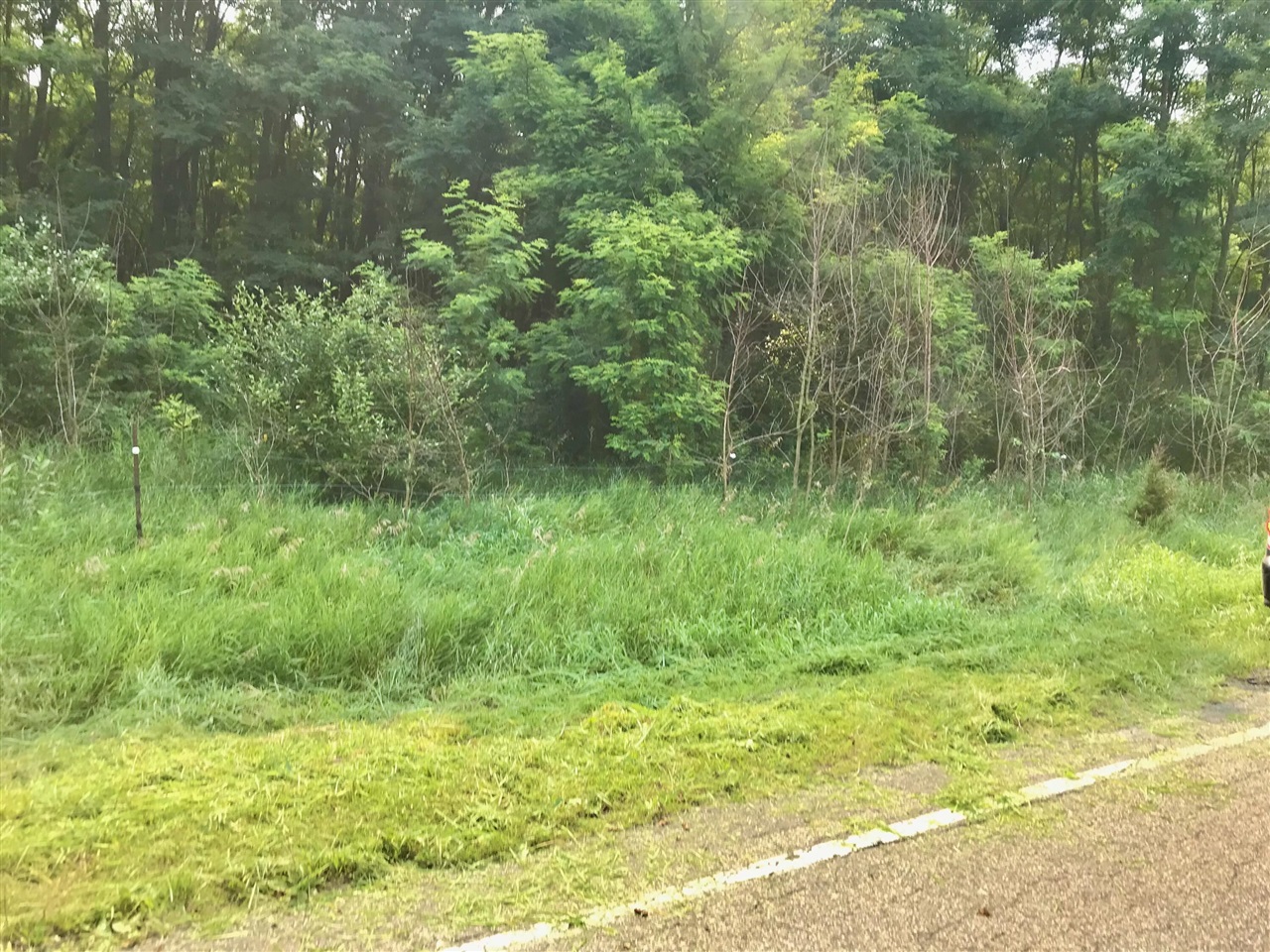 1st image of Lot G Buckhorn Rd, Three Rivers, MI 49093 | MLS# 70549168