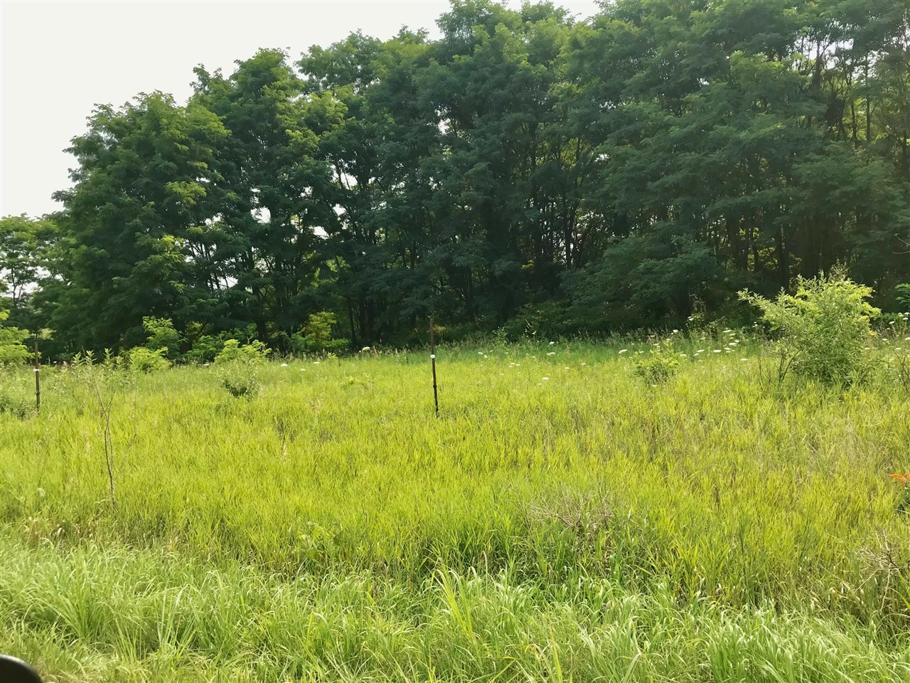 2nd image of Lot G Buckhorn Rd, Three Rivers, MI 49093 | MLS# 70549168