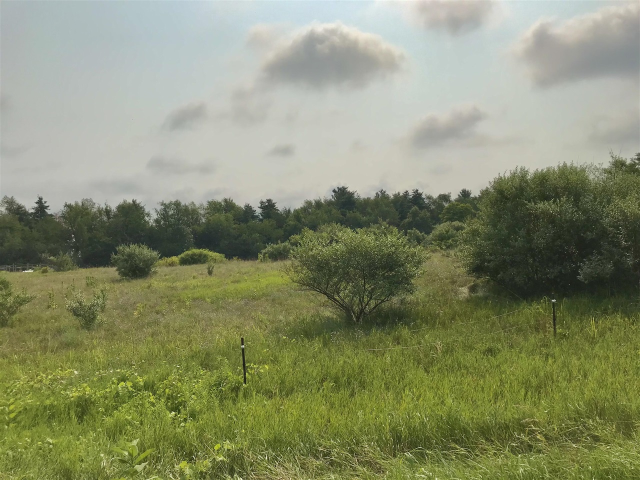 5th image of Lot G Buckhorn Rd, Three Rivers, MI 49093 | MLS# 70549168